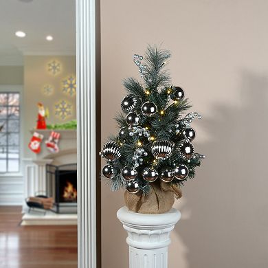 National Tree Company 2-ft. Frosted Pine LED Artificial Christmas Tree Floor Decor