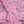 Pink Gray
