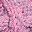 Pink Gray