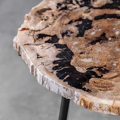 Uttermost Mircea Petrified Wood End Table