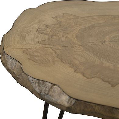 Uttermost Runay Wood Slab End Table