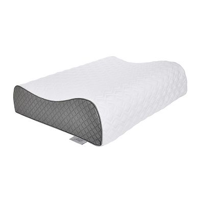 Sealy Memory Foam Contour Pillow