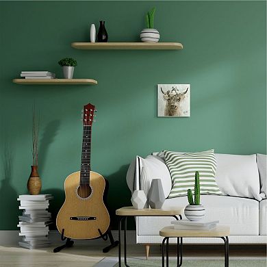 Stupell Home Decor Buffalo with Floral Crown Plaque Wall Art