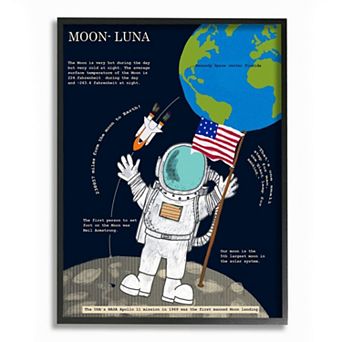 Stupell Home Decor Moon Facts Framed Wall Art