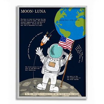 Stupell Home Decor Moon Facts Framed Wall Art