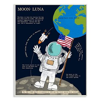 Stupell Home Decor Moon Facts Plaque Wall Art