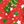 Tree Stars Red