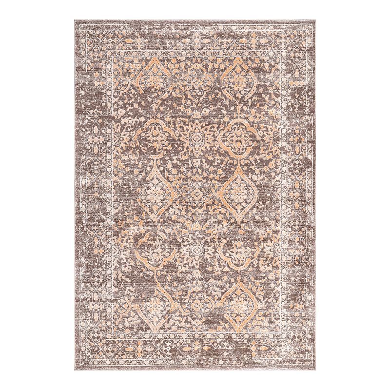 nuLOOM Vintage Odell Rug, Brown, 8X10 Ft