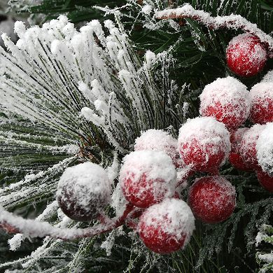 National Tree Company 22" Snowy Bedford Artificial Planter Filler Decor