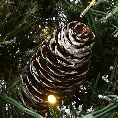National Tree Company 30-in. Light-Up Glittery Bristle Pine Artificial Christmas Wreath