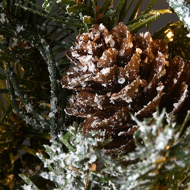National Tree Company 24-in. Light-Up Snowy Morgan Spruce Artificial Christmas Wreath