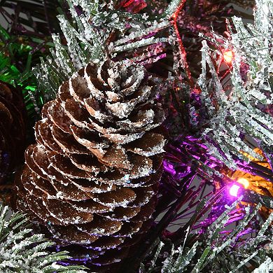 National Tree Company 24-in. Light-Up Snowy Morgan Spruce Artificial Christmas Wreath