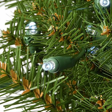 National Tree Company 30-in. Light-Up Norwood Fir Artificial Christmas Wreath