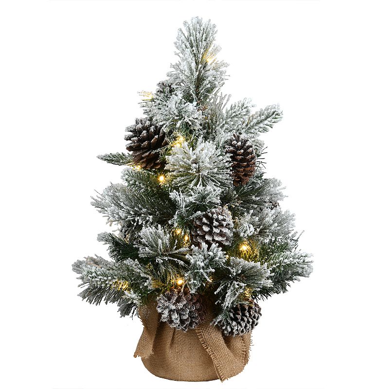 National Tree Company 2-ft. Pre-Lit Snowy Redmond Pine Artificial Christmas
