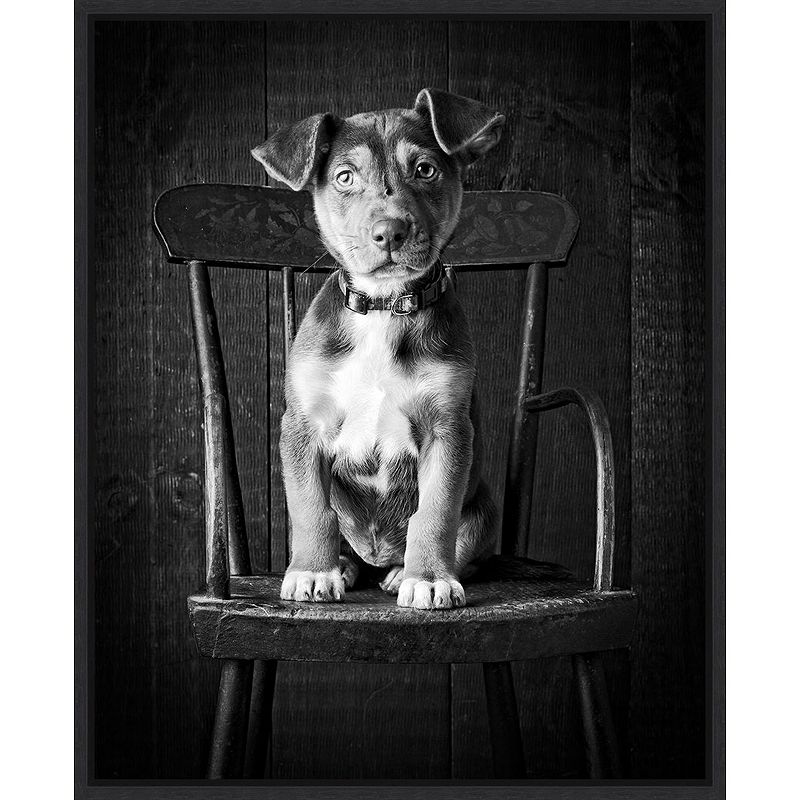 Amanti Art Mutt Puppy Framed Canvas Wall Art, Black, 16X20
