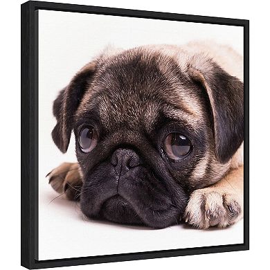 Amanti Art Sad Pug Framed Canvas Wall Art