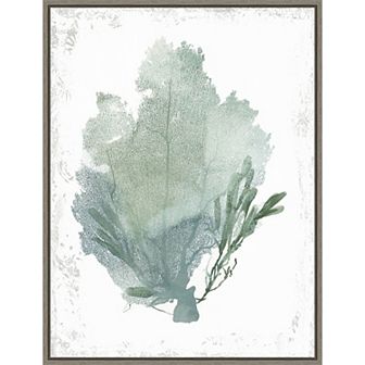 Amanti Art Teal Delicate Coral I Framed Canvas Wall Art