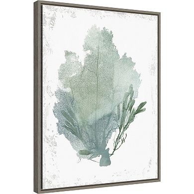 Amanti Art Teal Delicate Coral I Framed Canvas Wall Art