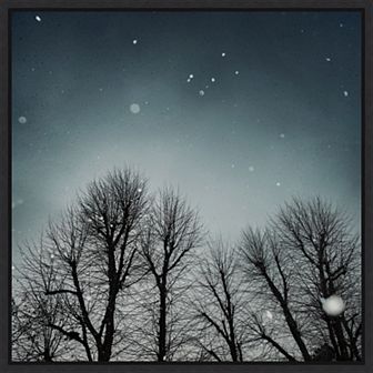 Amanti Art Winter Sky Tree Line Framed Canvas Wall Art