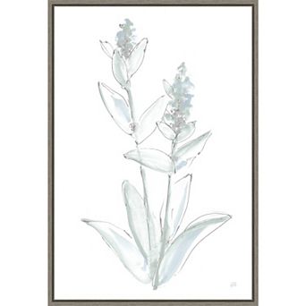Amanti Art Lambs Ear Sage IV Framed Canvas Wall Art