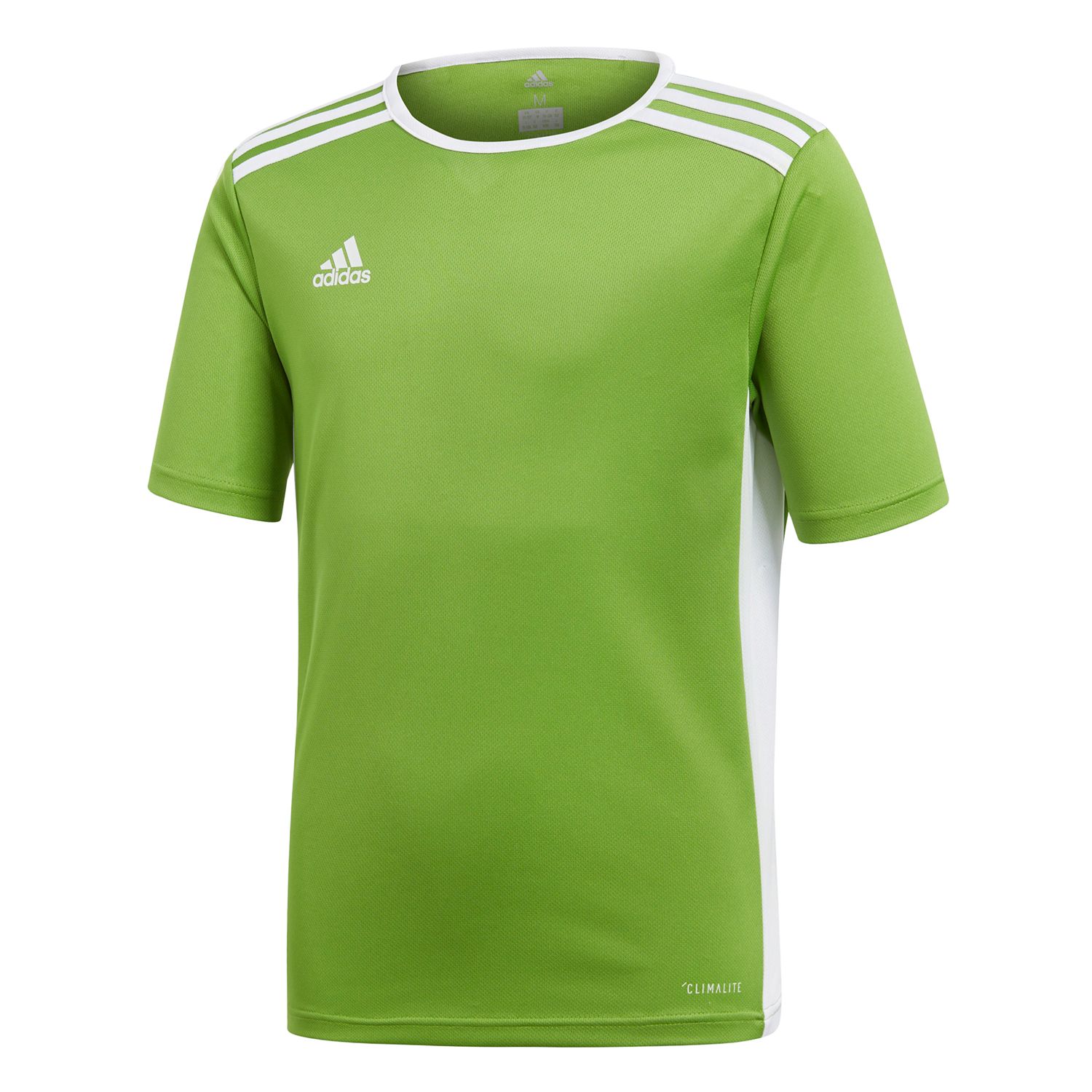 adidas entrada tee