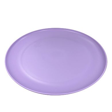 The Big One® 4-pc. Plastic Dinner Plate Set