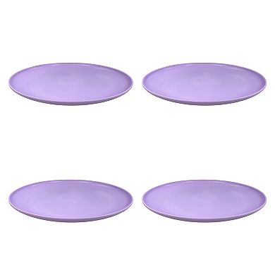 The Big One® 4-pc. Plastic Dinner Plate Set