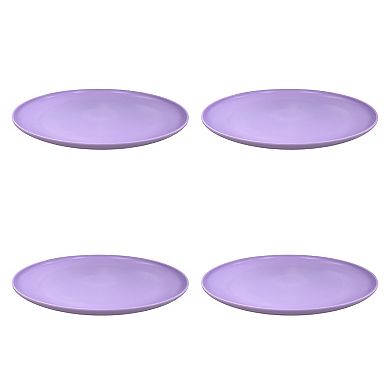 The Big One® 4-pc. Plastic Dinner Plate Set