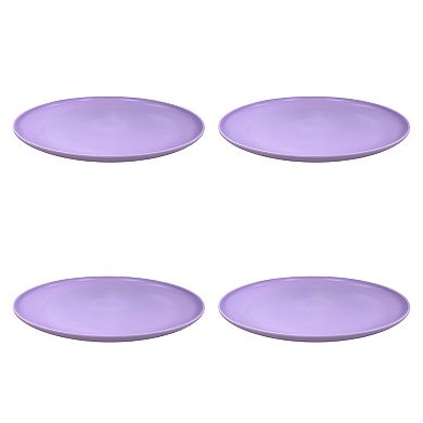 The Big One?? 4-pc. Plastic Dinner Plate Set