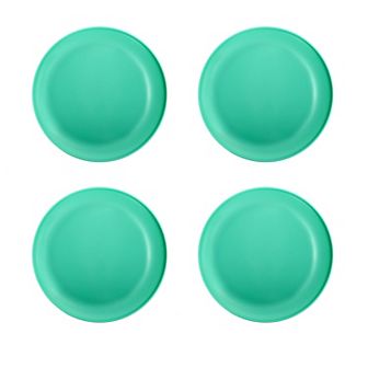 The Big One® 4 pc Plastic Dinner Plate Set