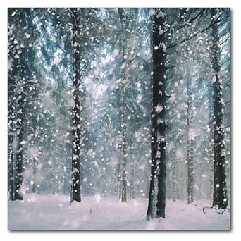 COURTSIDE MARKET Flakes Canvas Wall Art