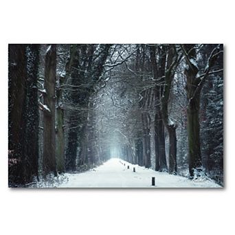 COURTSIDE MARKET Snow in Markelo Canvas Wall Art