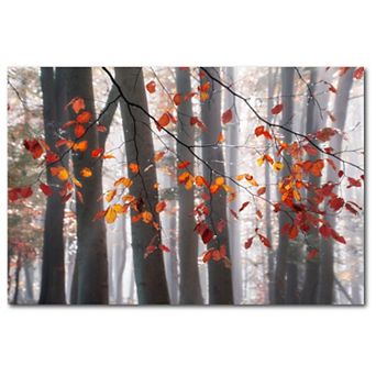 Courtside Market Falling Moments Canvas Wall Art