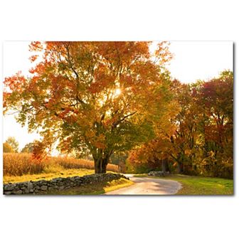 Courtside Market Maple Tree Drive Canvas Wall Art