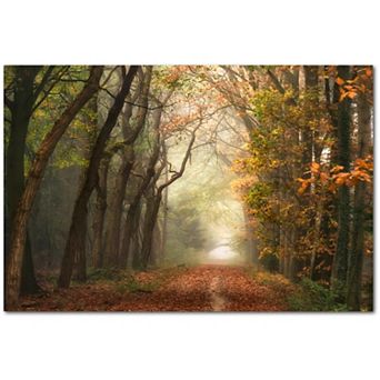 Courtside Market Walk In The Woods Canvas Wall Art