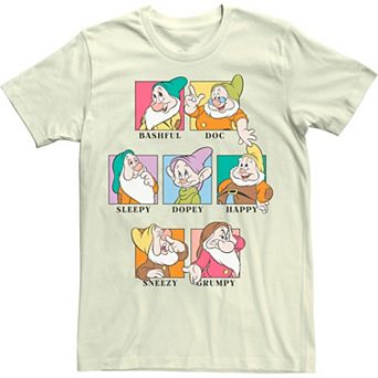 Men's Disney Princess 7 Dwarfs Vintage Tee