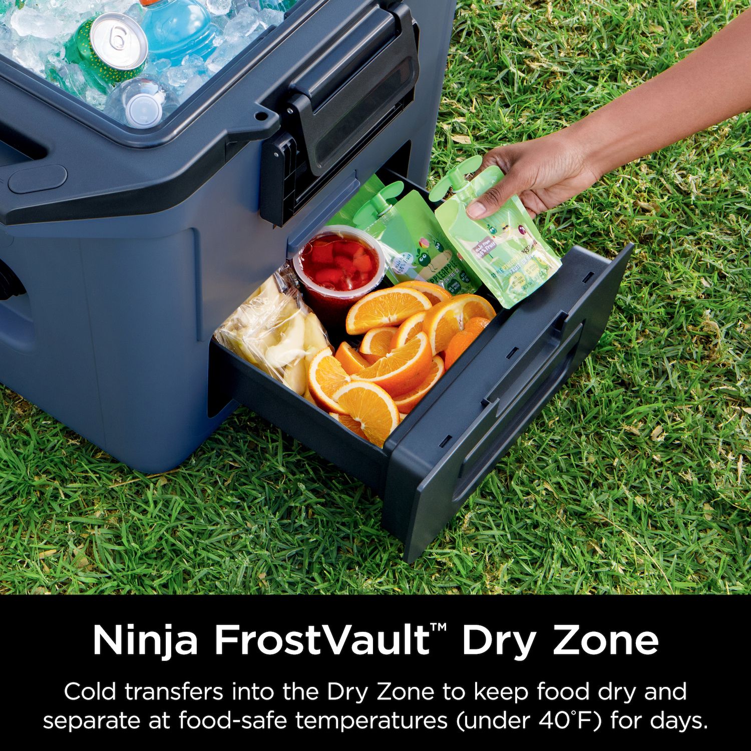 Ninja Frost Vault Chest Cooler - Thumbnail 5