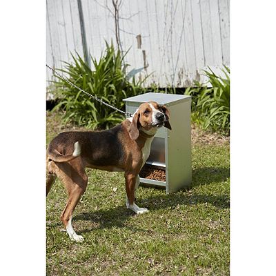 Little giant dog feeder best sale