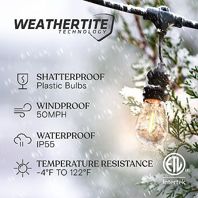 Brightech Ambience Pro Edison Black LED Waterproof Outdoor String Lights, 48 Ft.