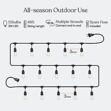 Brightech Ambience Pro Edison Black LED Waterproof Outdoor String Lights, 48 Ft.