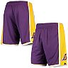 Men's Mitchell & Ness Purple/Gold Los Angeles Lakers 2009/2010 Hardwood Classics Authentic Shorts