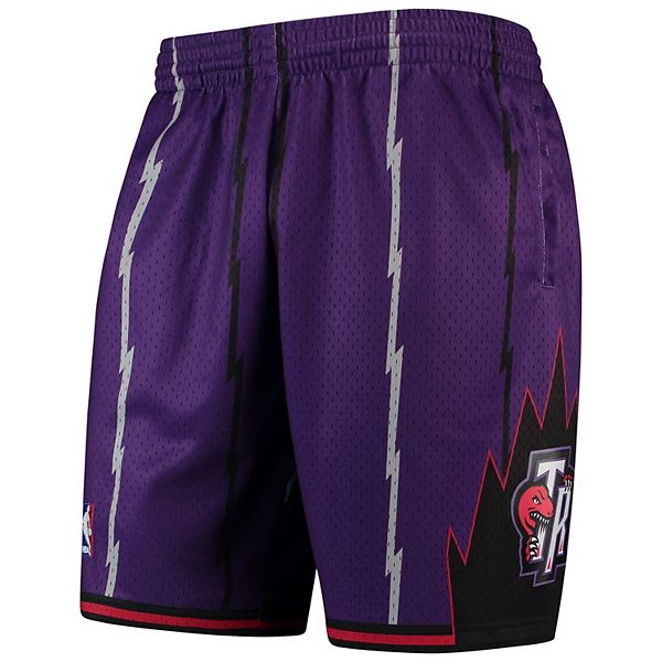 Toronto Raptors Mitchell & Ness Youth Hardwood Classics Swingman Shorts -  Purple