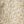 Beige Texture Palms