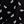 Black Modern Palm