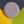 Lavender Yellow