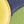 Yellow Multi