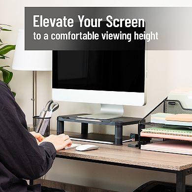 Mind Reader 2-pack Small Monitor Stand