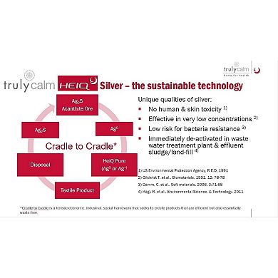 Truly Calm Antimicrobial Standard Down-Alternative Pillow Set