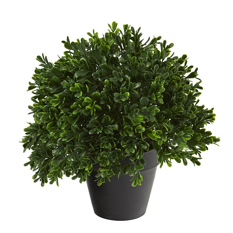 nearly natural Indoor / Outdoor Artificial Boxwood Plant Table Decor, Green