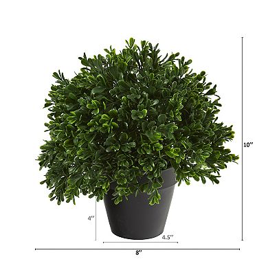 nearly natural Indoor / Outdoor Artificial Boxwood Plant Table Decor